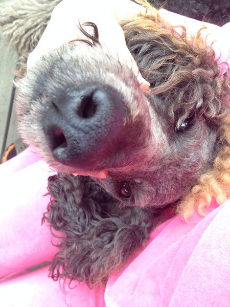 Ольга Гончаренко