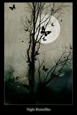 Кристина Хвост