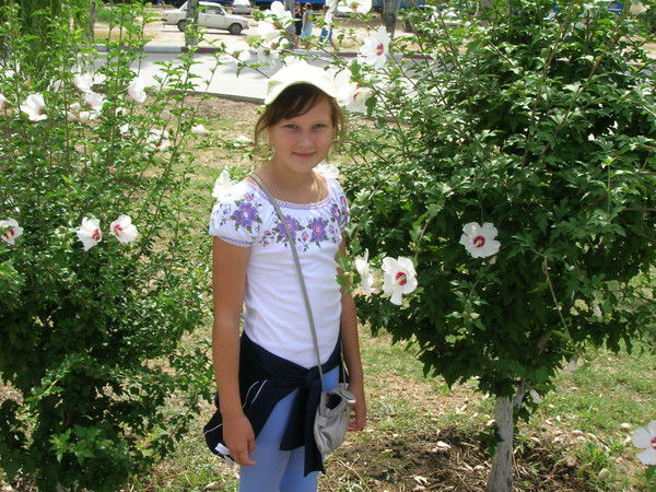 Лерок Цаплина