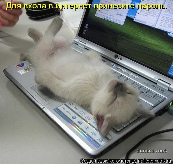 Любовь Санкова