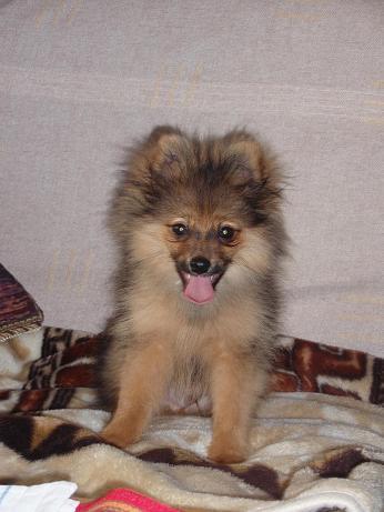 Ненадо Имён