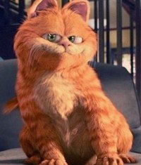 Ильмир Бадертдинов