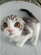 Мария Биричевская