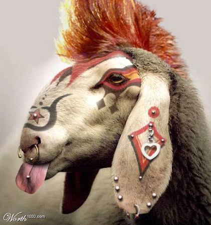 Петр Костовский