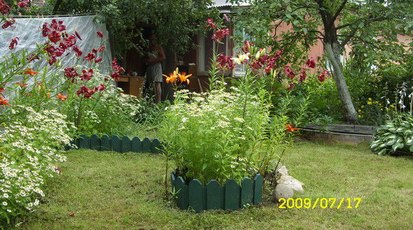 Надя Андронова