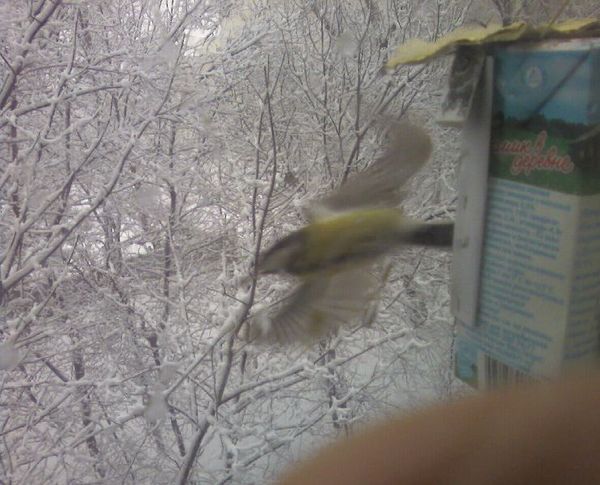 Владимир Вартанов