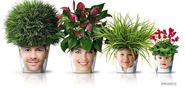 Лубенец Алена