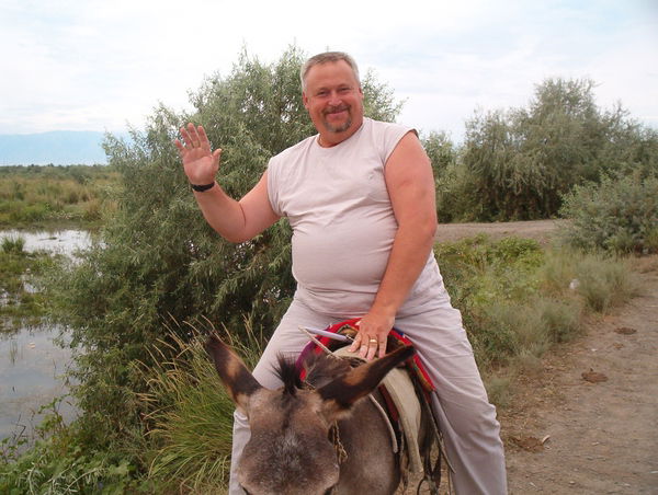 Альберт Райфшнайдер