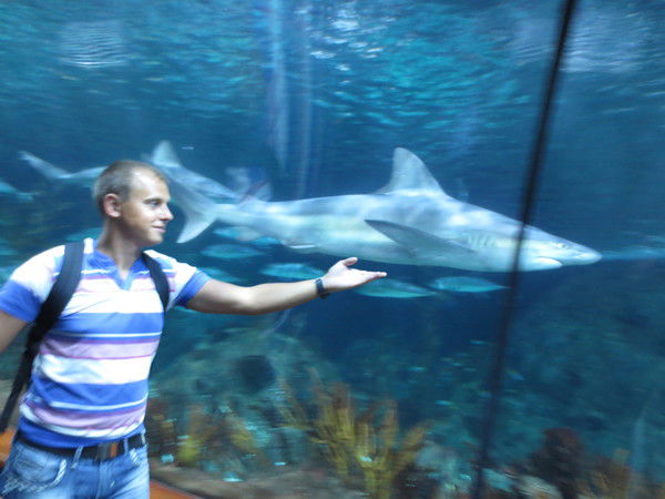 Сергей Лазюк