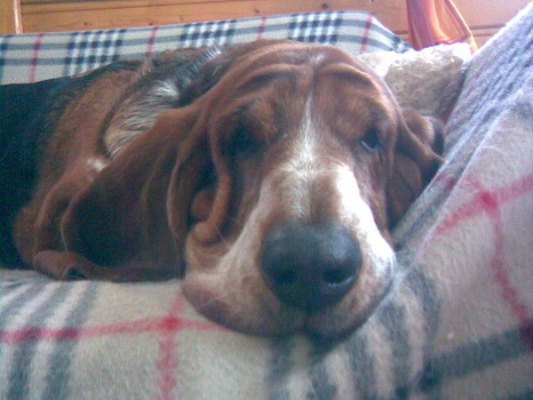 Игорь Сурмилов