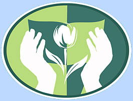 Светлана Сергеева