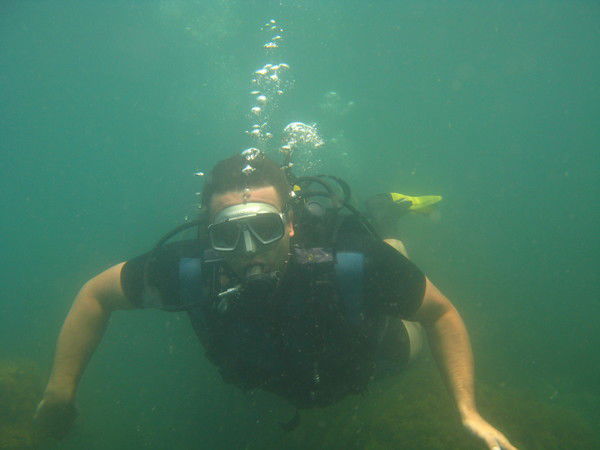 Николай Гольцев