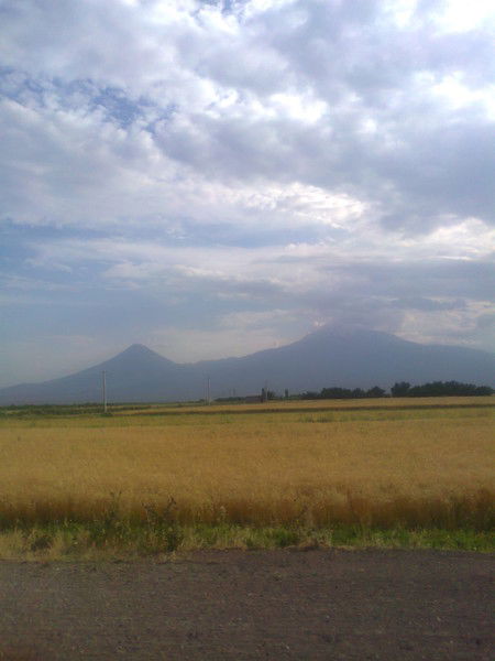 Владимир Гавелко