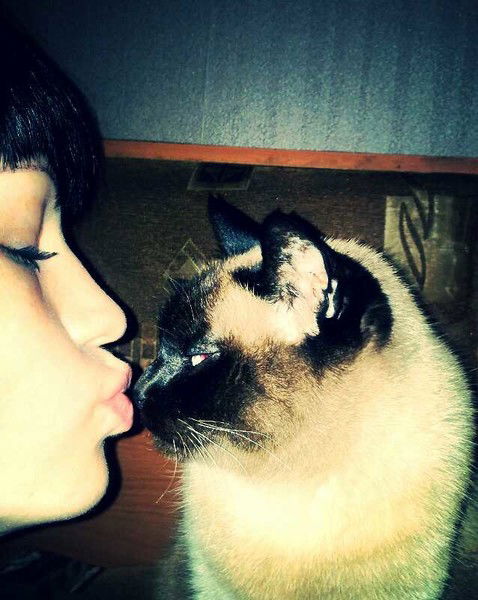 Екатерина Шипицина