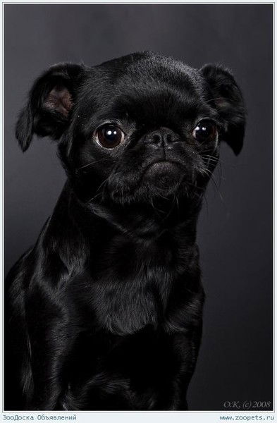 Екатерина Потемкина