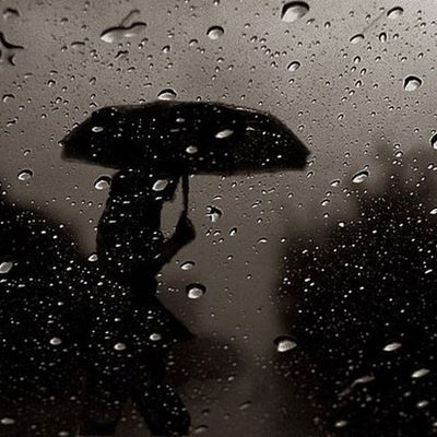 Александра Резникова