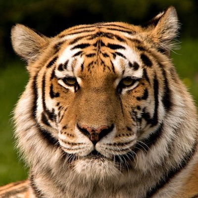 Сергей Сергеев