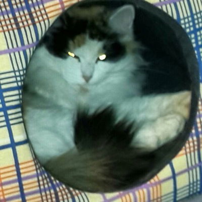 Елизавета Муркина