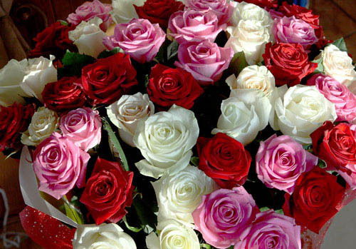 Ольга Хотимко