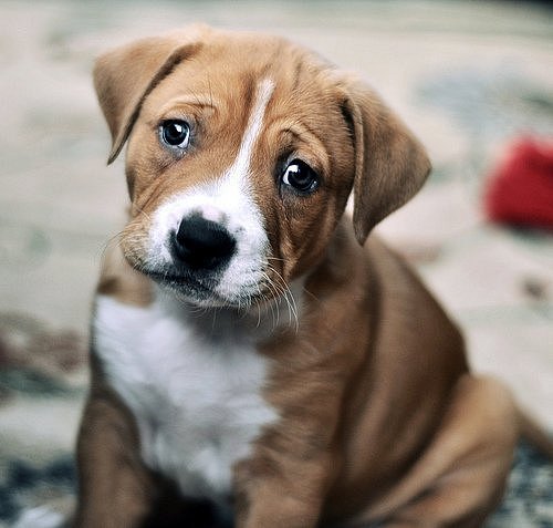 Екатерина Терехова