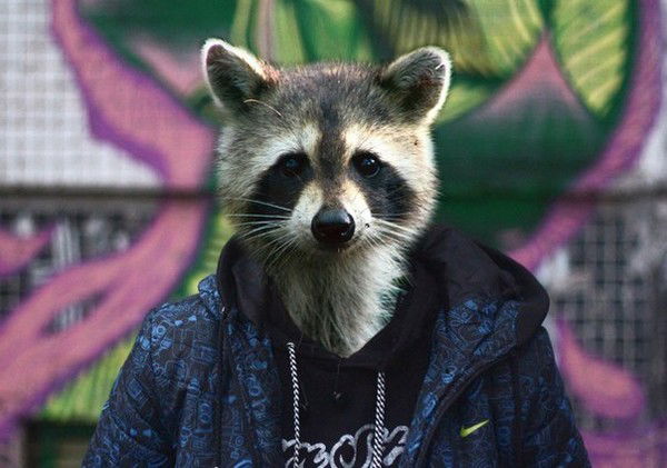 Артём Шкляев