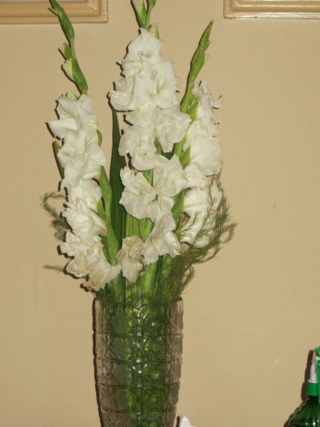 Людмила Бойко