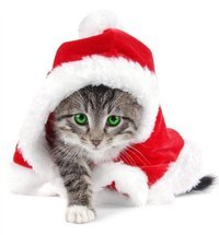 Гульнара Байгильдина