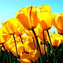 Артур Лошицкий