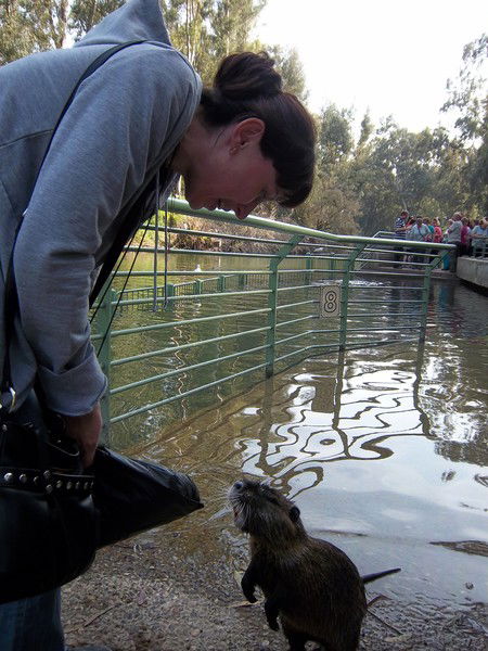 Елена Логвинчук