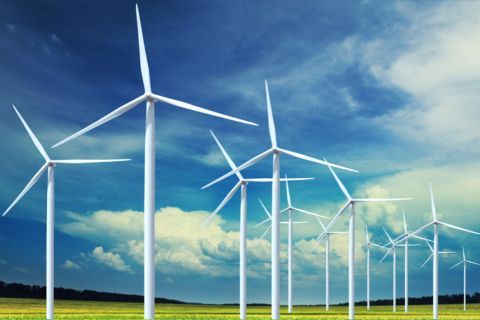 Кирилл Грибенюк