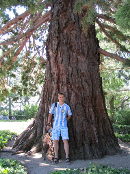 Павел Ерохин