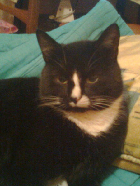 Не Счастья Ангел