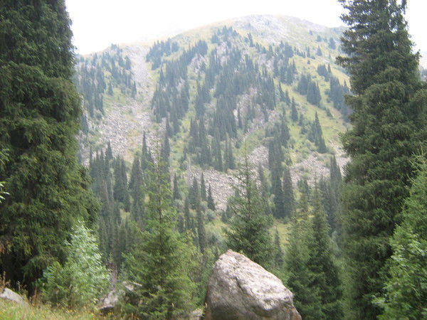 Виктор Змей