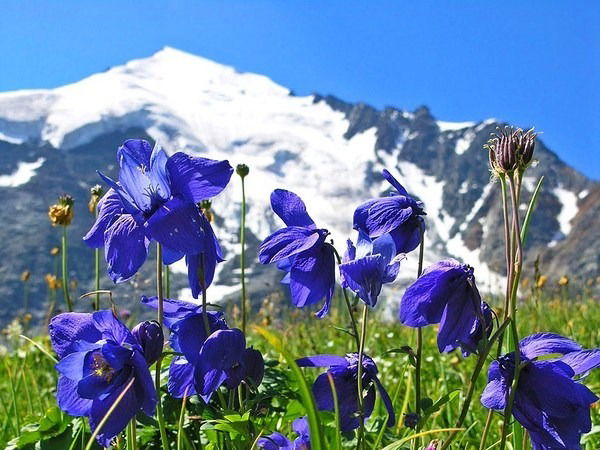 Наталья Пармёнова