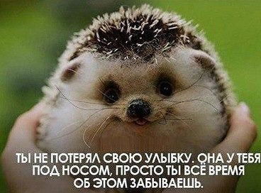 Евгения Новичкова