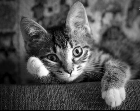 Сергей Булдушев