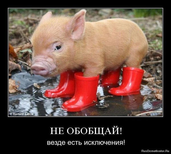 Елена Ступенькова