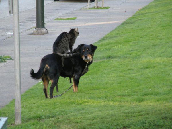 Галина Кузьмина