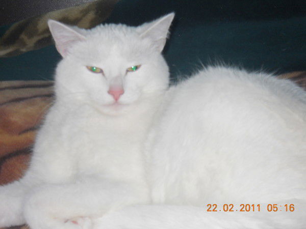 Игорь Лавров