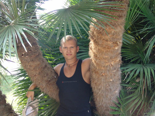 Денис Семенов