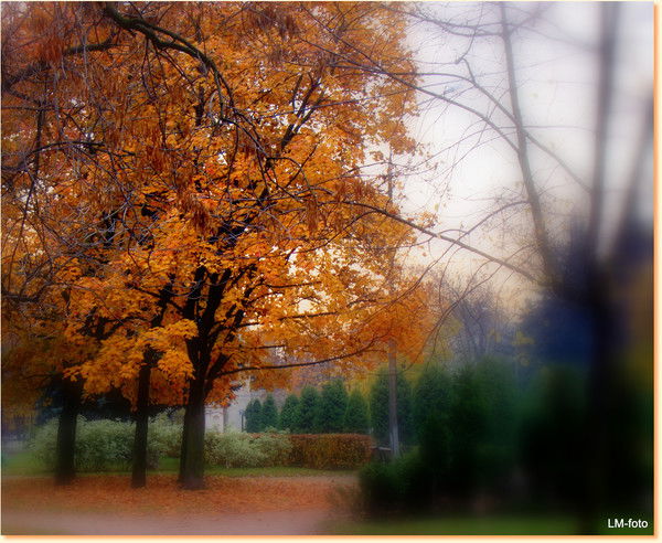 Ирина Хохлушина