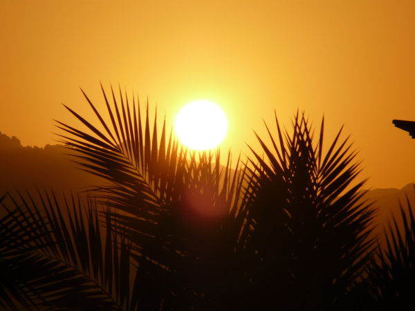 Надежда Коваленко