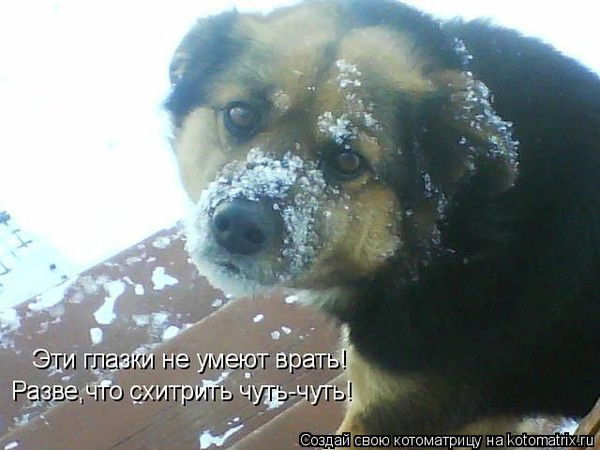 Сергей Старченко