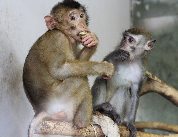 Марина Клевачёва