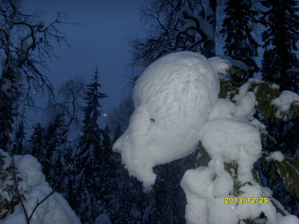 Андрей Полыгалов