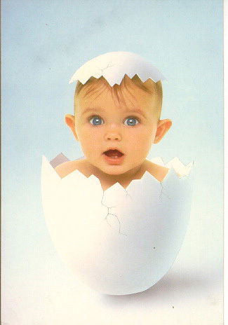 Анна Лапшова