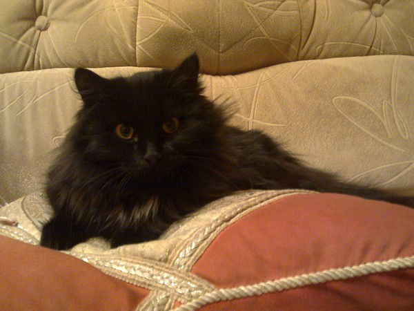 Александр Семаков