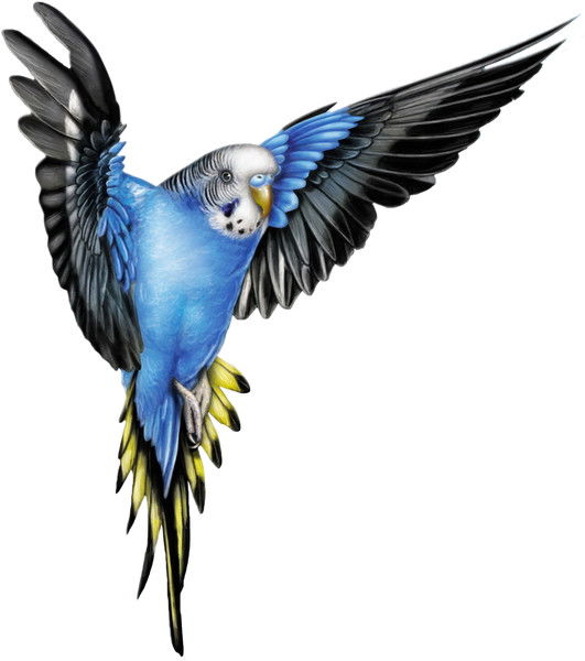 Алексей Абросимов