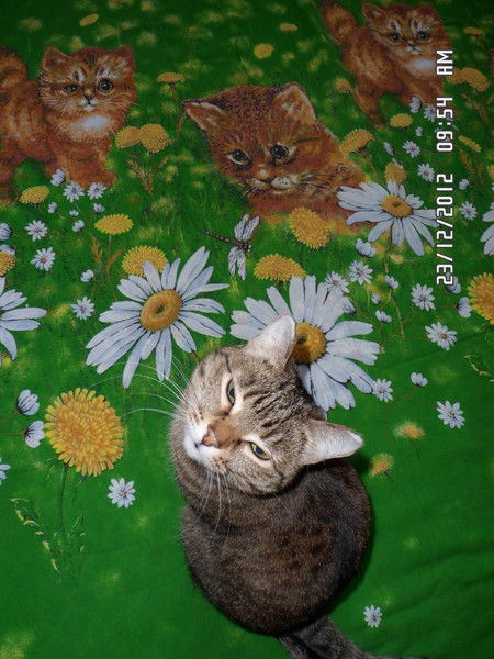 Максим Лунев