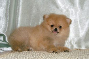 Иванова Наталья